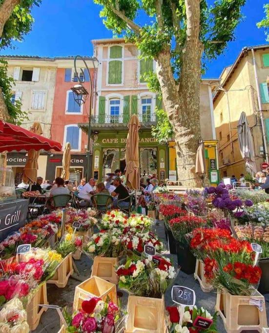 La Loge Familiale: 110M2, Place Rose Goudard, Ac LʼIsle-sur-la-Sorgue Buitenkant foto